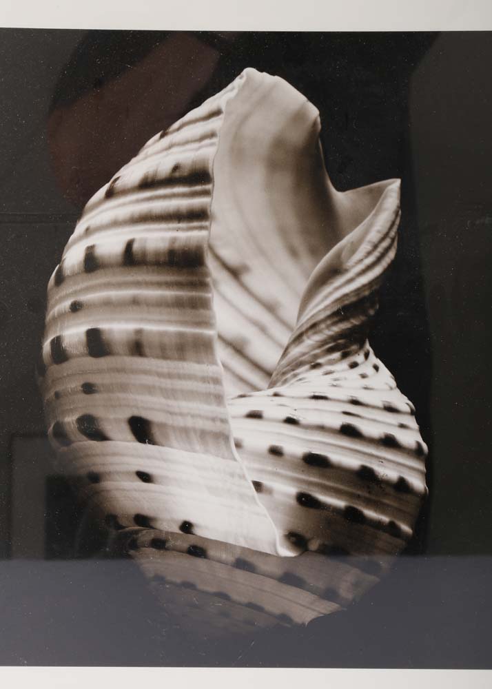 Set of Framed Sondra Wampler Offset Lithographs