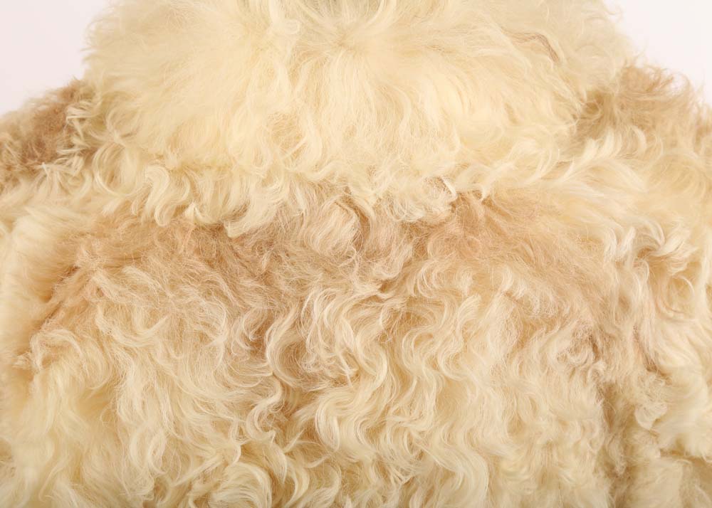 Ivory Lamb Fur Jacket