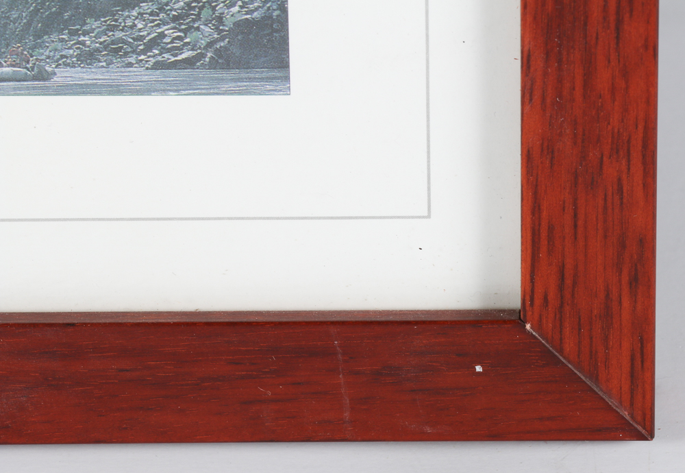 Framed Grand Canyon Geology Posters