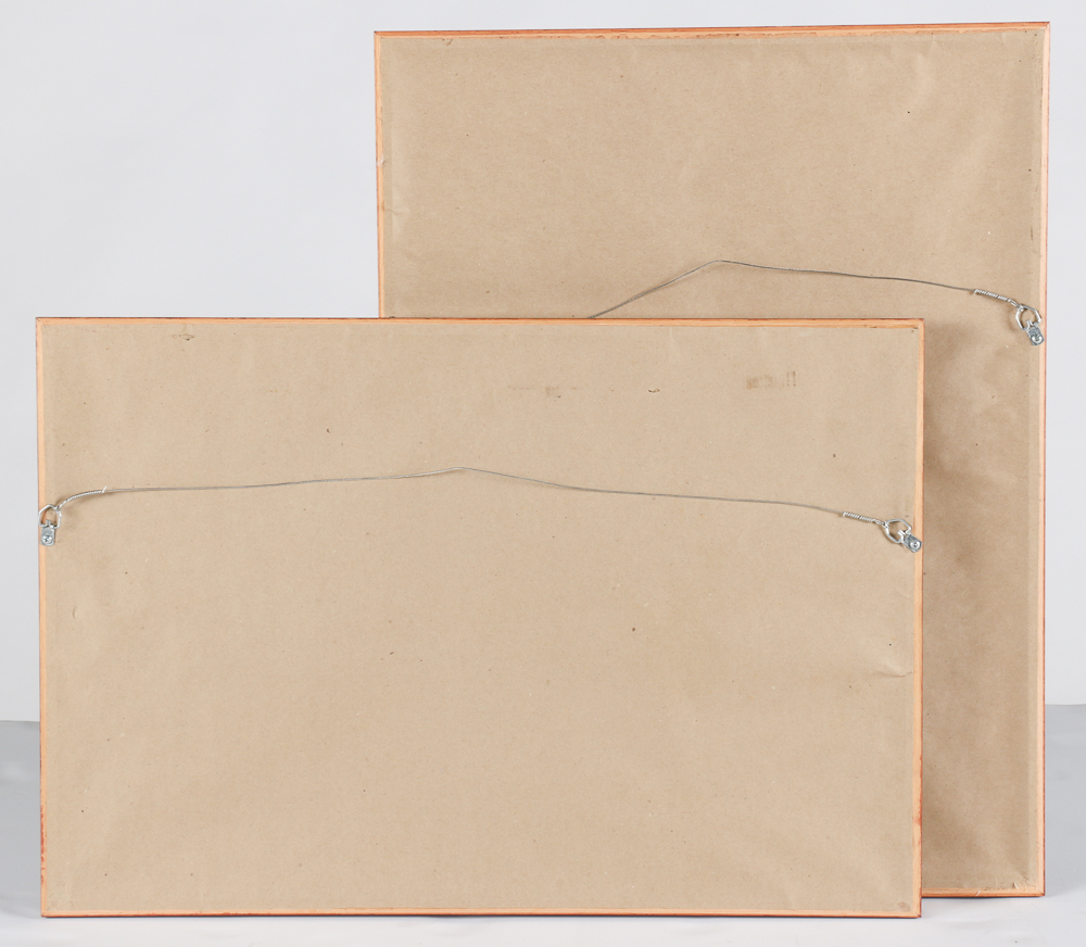 Framed Grand Canyon Geology Posters