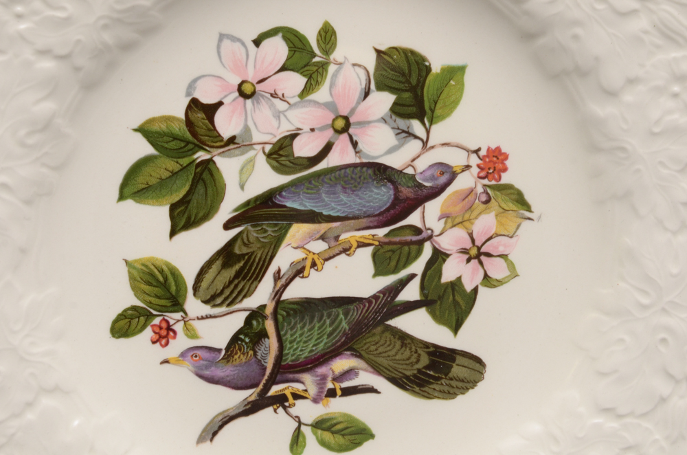 Alfred Meakin "Birds of America" Porcelain Plate Set of Three