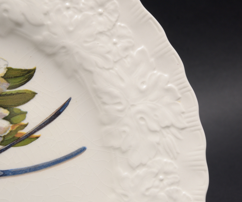 Alfred Meakin "Birds of America" Porcelain Plate Set of Three