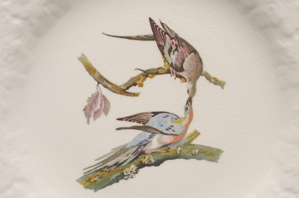 Alfred Meakin "Birds of America" Porcelain Plate Set of Three