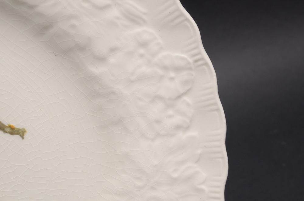 Alfred Meakin "Birds of America" Porcelain Plate Set of Three