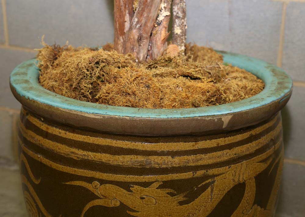 A Chinese Pidan Egg Pot and Artificial Tree
