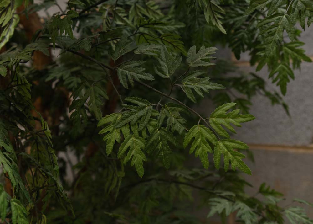 A Chinese Pidan Egg Pot and Artificial Tree