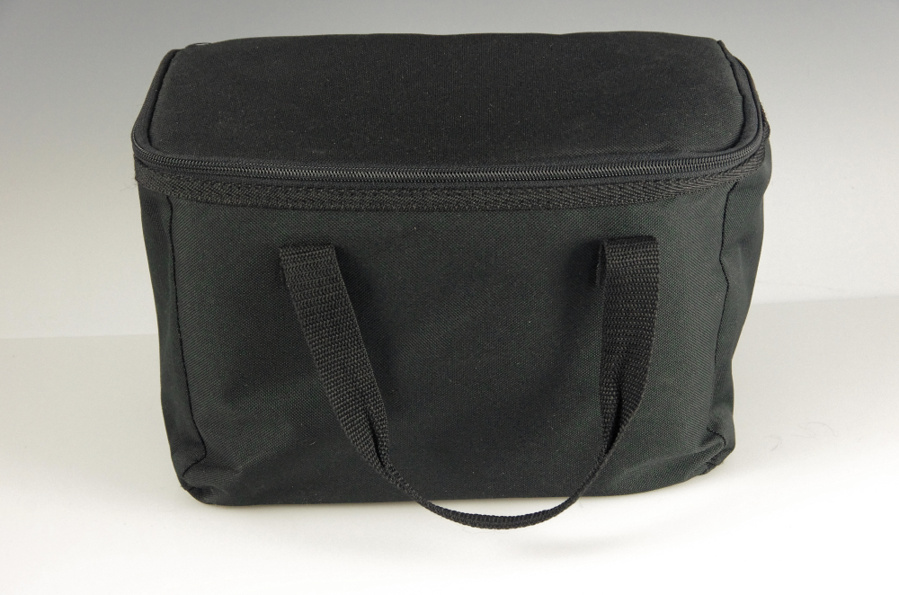 Dual Screen Mobile DVD System