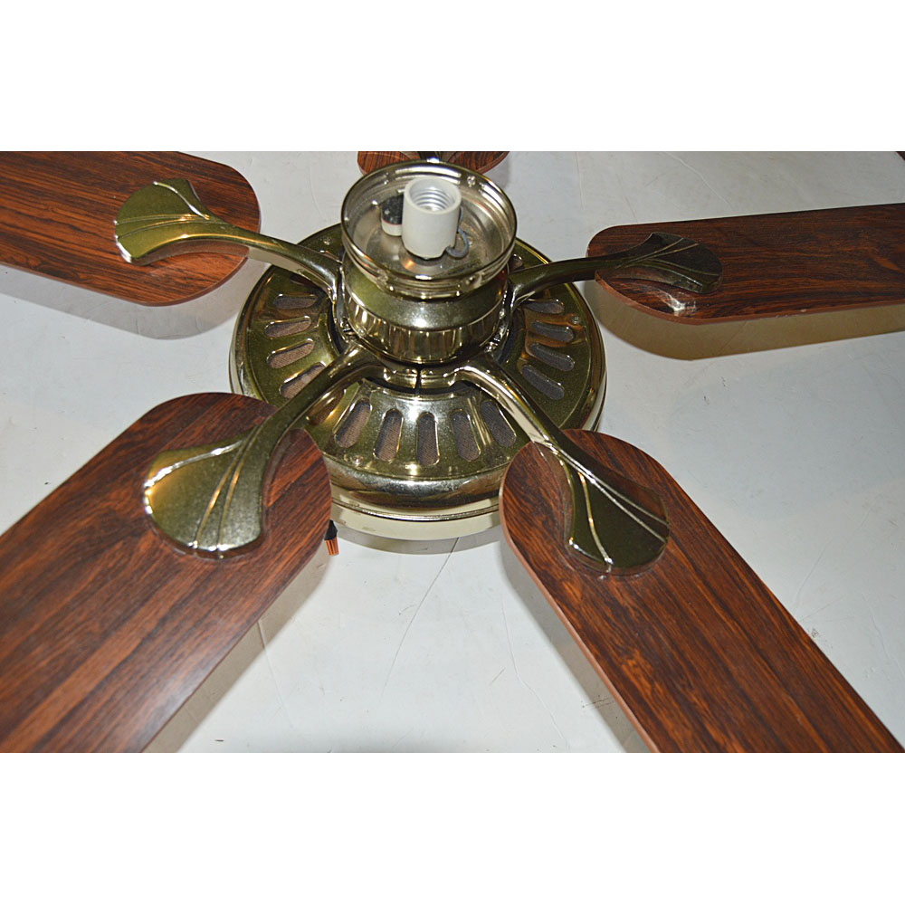 Hunter Ceiling Fan in Oak and Polished Brass