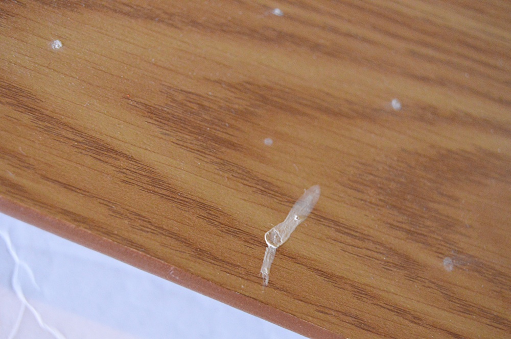 Hunter Ceiling Fan in Oak and Polished Brass