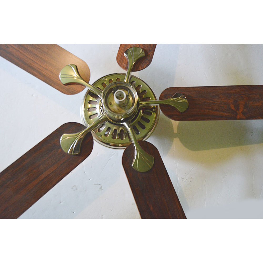Hunter Ceiling Fan in Oak and Polished Brass