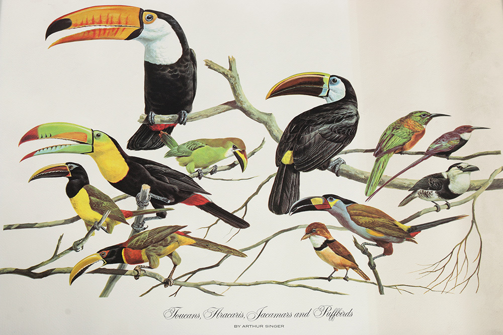 Pair of Arthur Singer Bird Prints