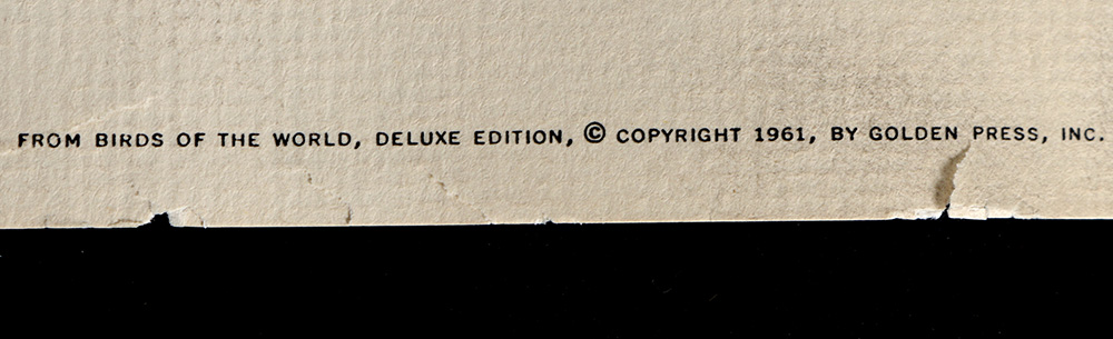 Pair of Arthur Singer Bird Prints