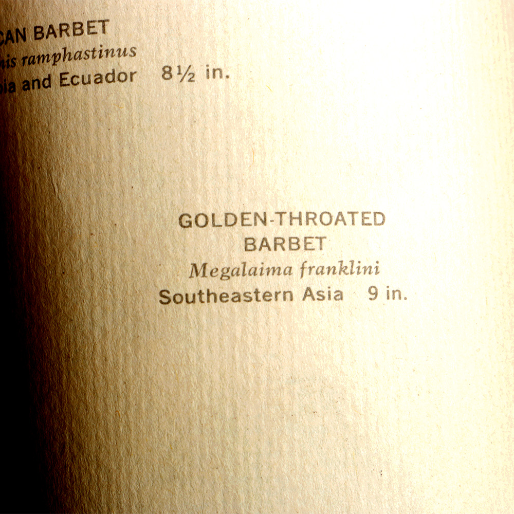 Pair of Arthur Singer Bird Prints