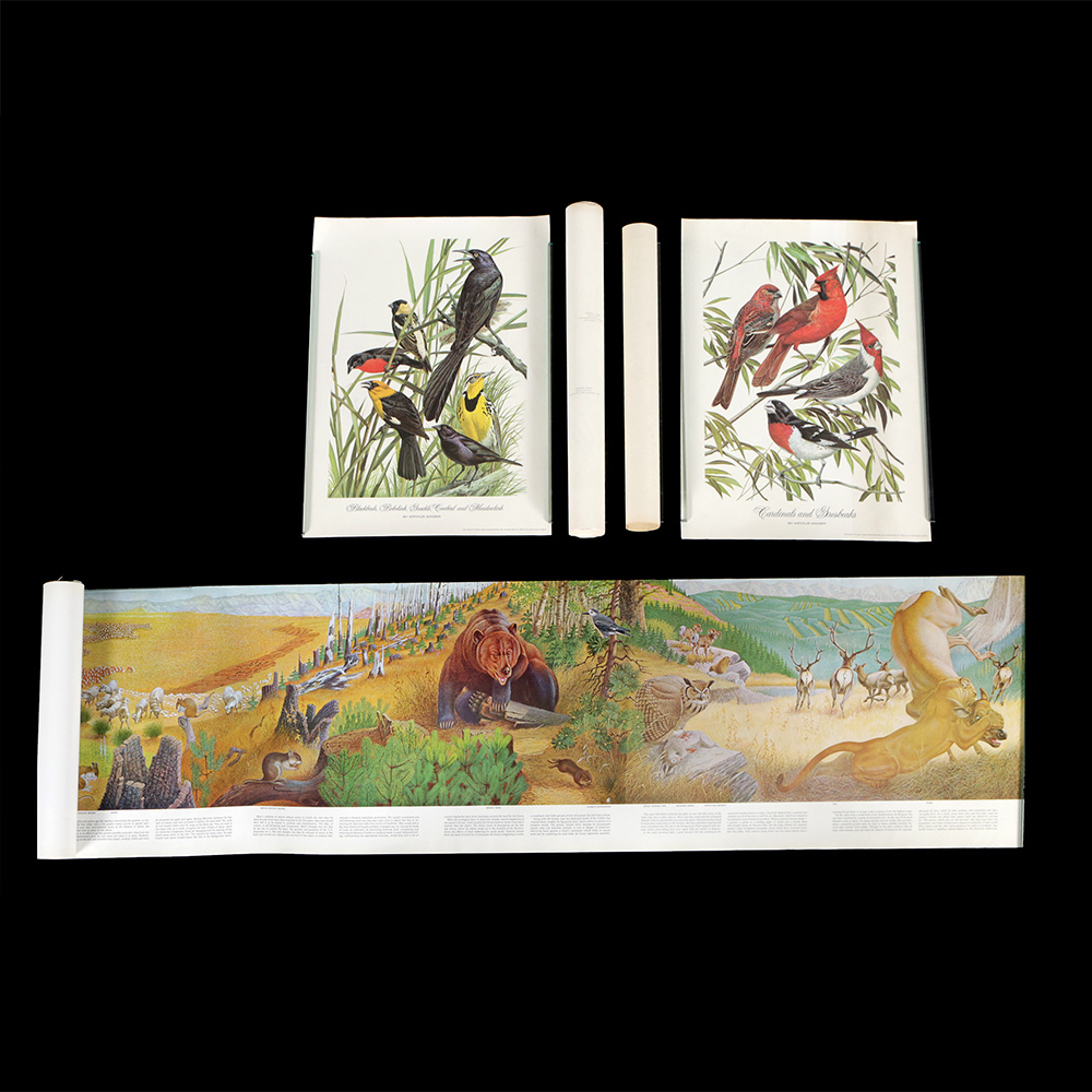 Group of Arthur Singer Bird Prints and Diorama