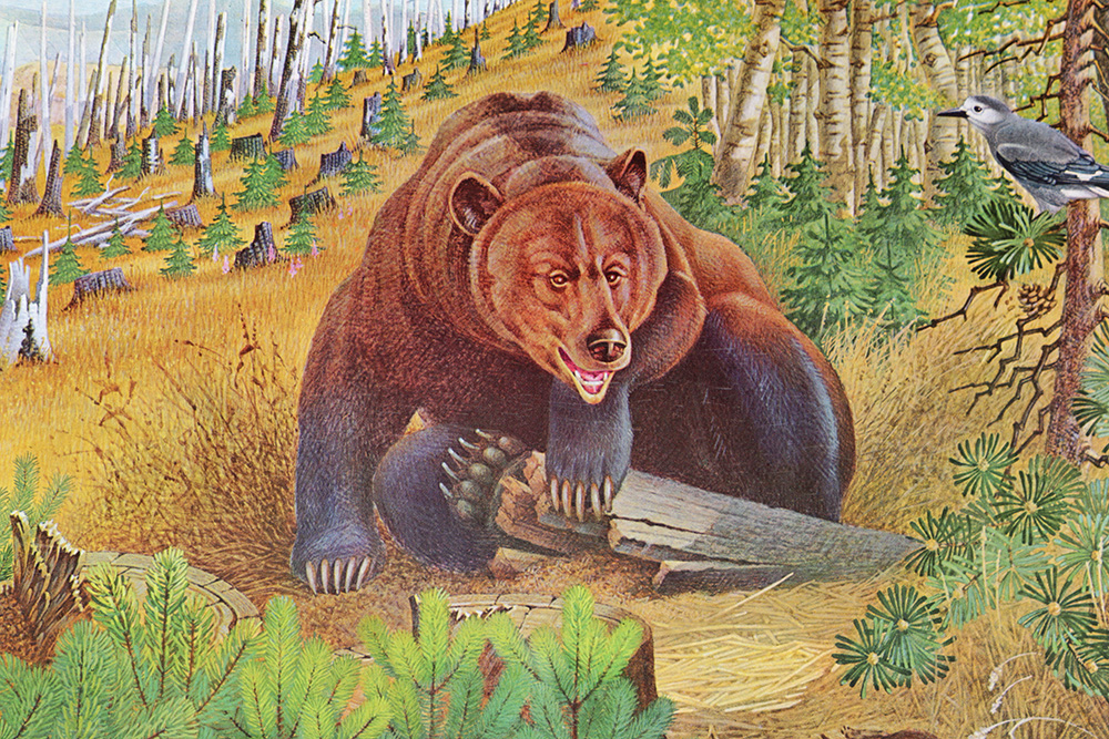 Group of Arthur Singer Bird Prints and Diorama