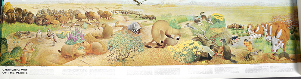 Group of Arthur Singer Bird Prints and Diorama