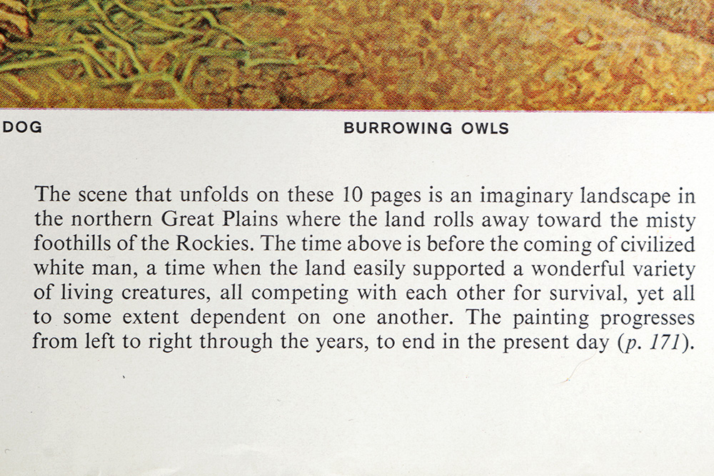 Group of Arthur Singer Bird Prints and Diorama