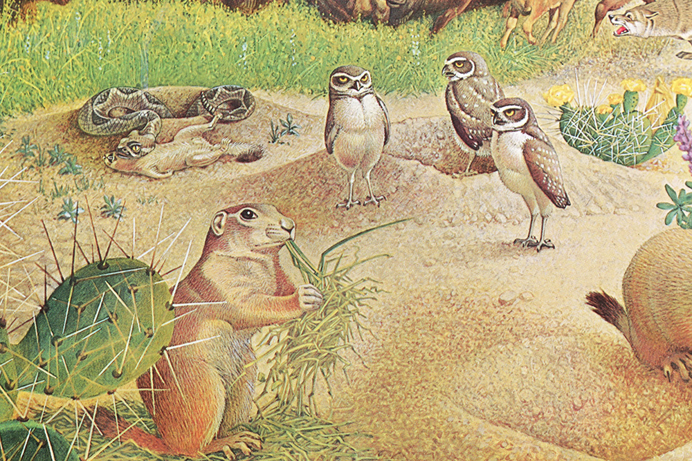 Group of Arthur Singer Bird Prints and Diorama