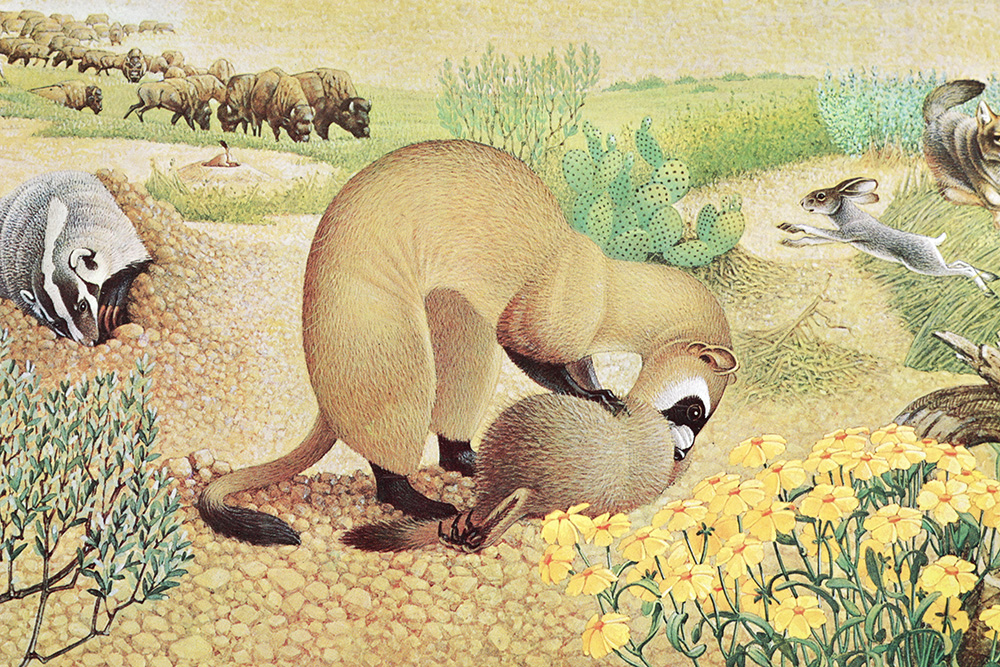 Group of Arthur Singer Bird Prints and Diorama