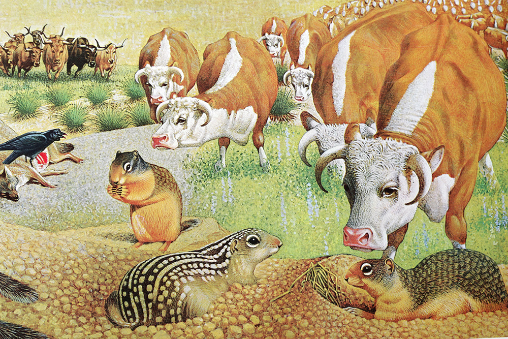 Group of Arthur Singer Bird Prints and Diorama