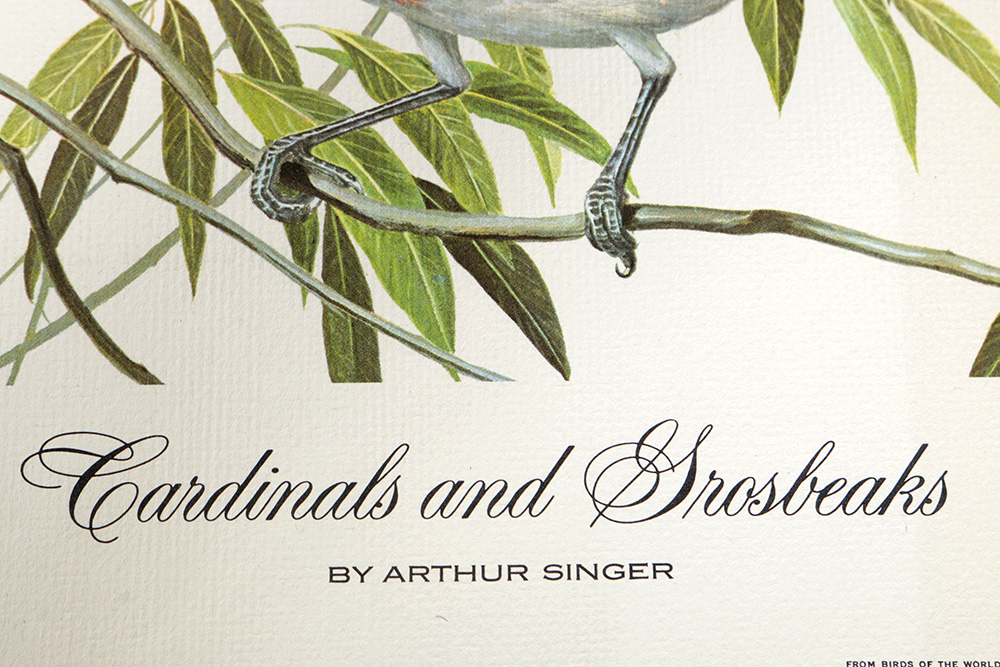 Group of Arthur Singer Bird Prints and Diorama