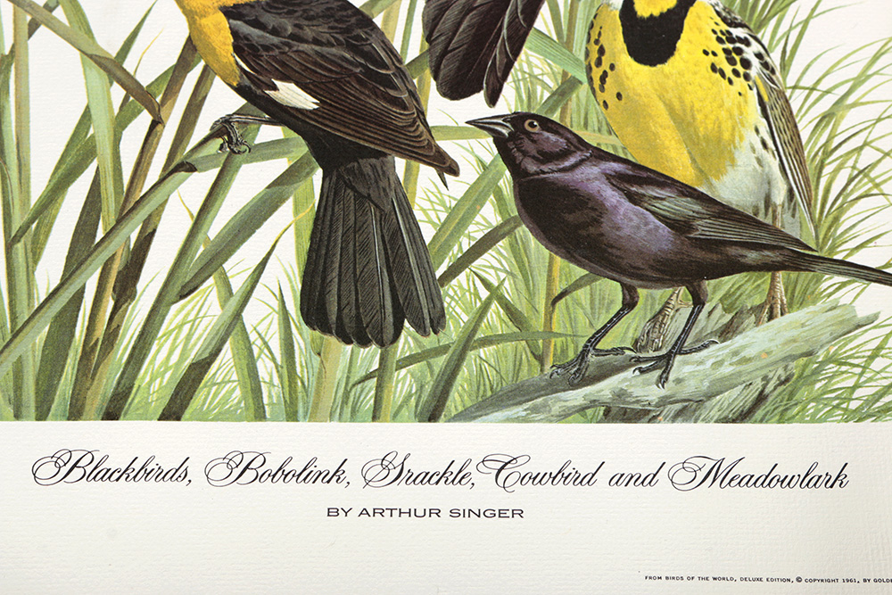 Group of Arthur Singer Bird Prints and Diorama