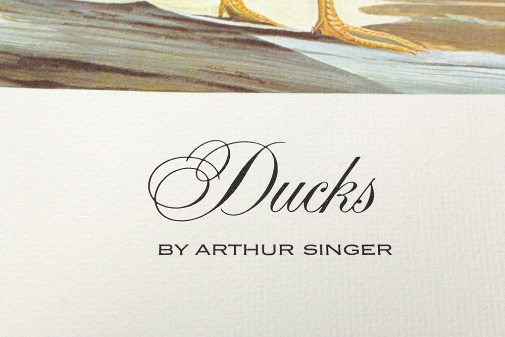 Group of Arthur Singer Bird Prints and Diorama