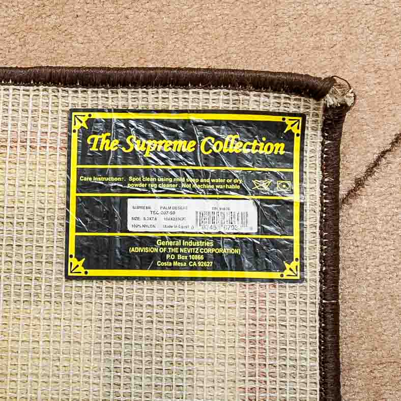 Contemporary "Palm Desert" Rug