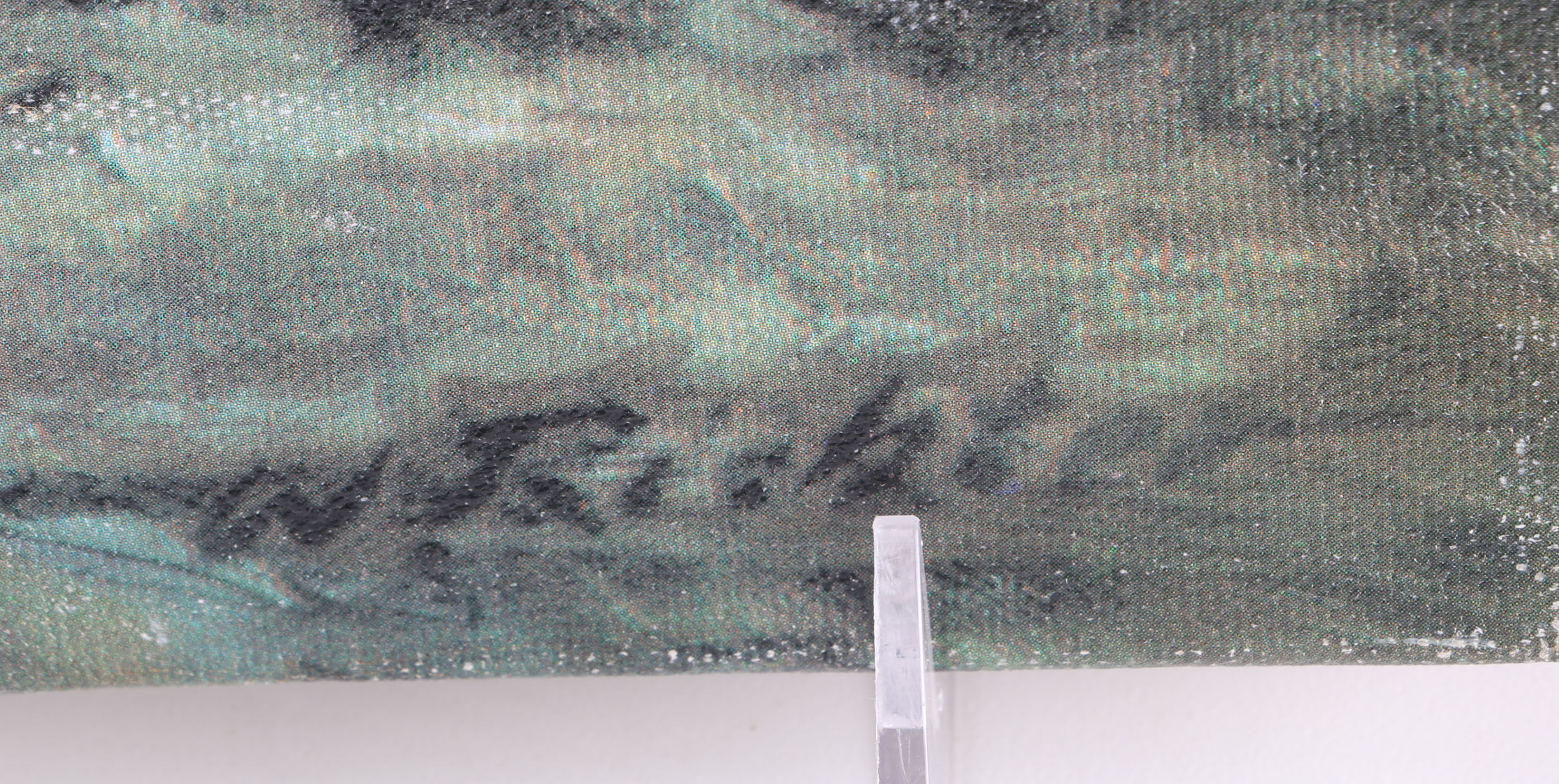 W. Richter Giclee Print