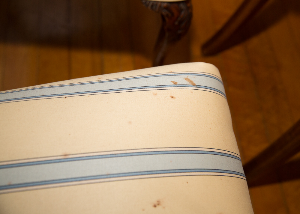 Chippendale Style Dining Chairs