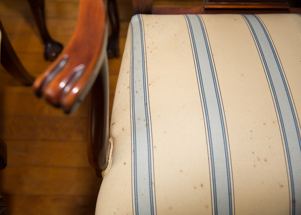 Chippendale Style Dining Chairs