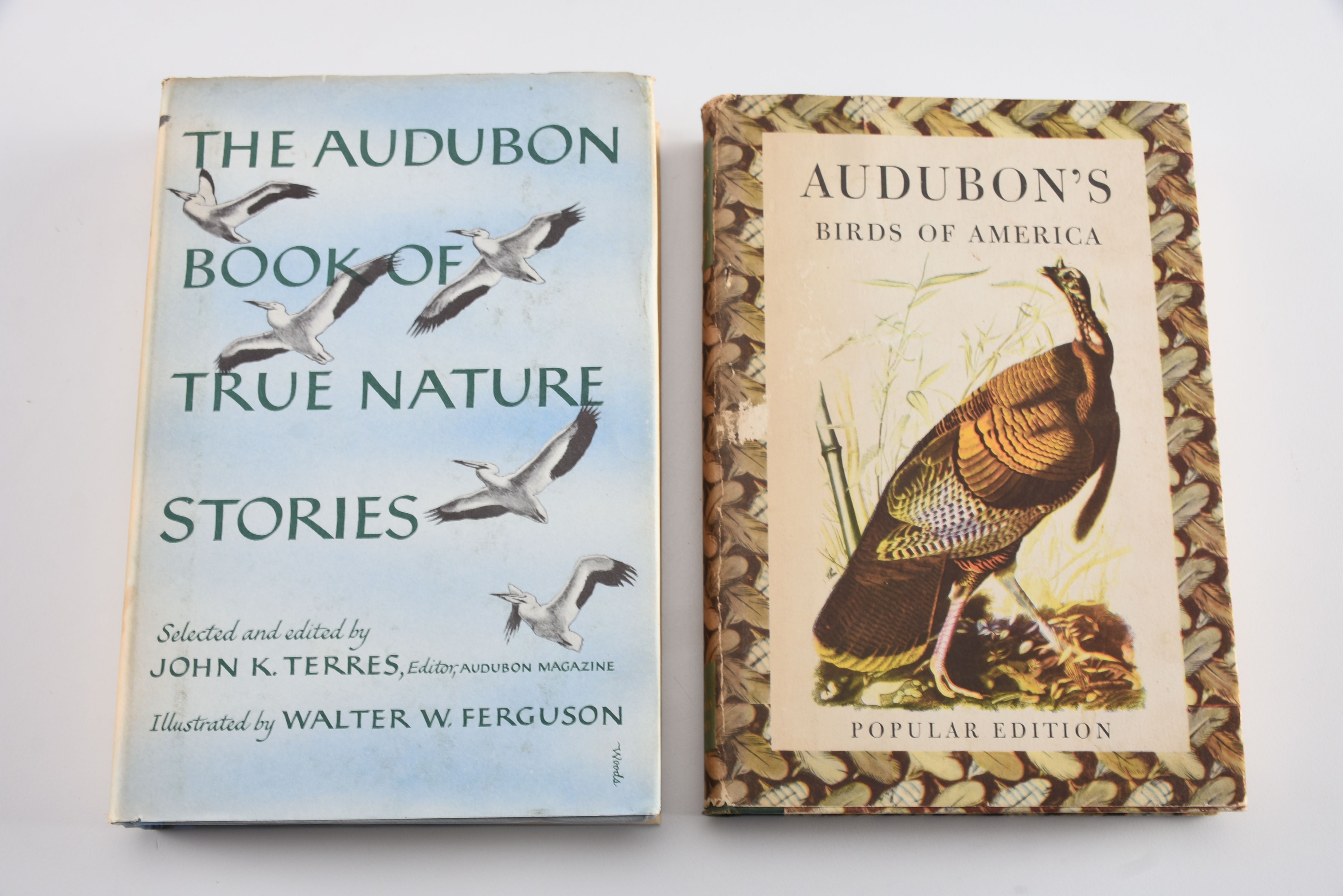 Collection of Audubon Books and Nature Programs
