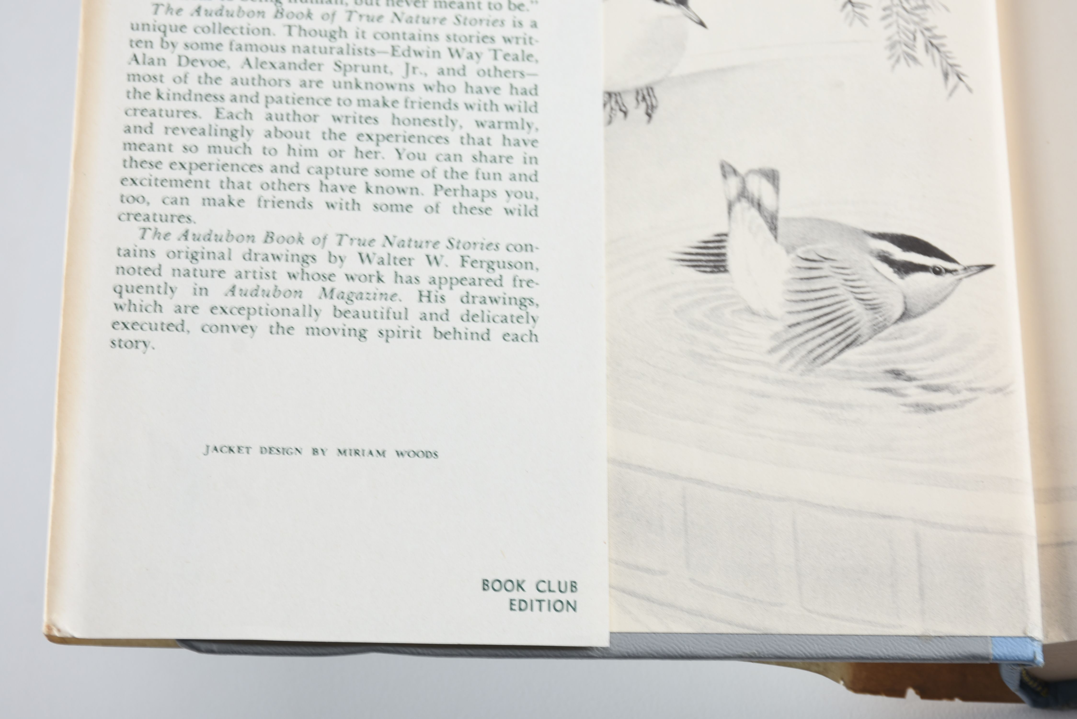 Collection of Audubon Books and Nature Programs