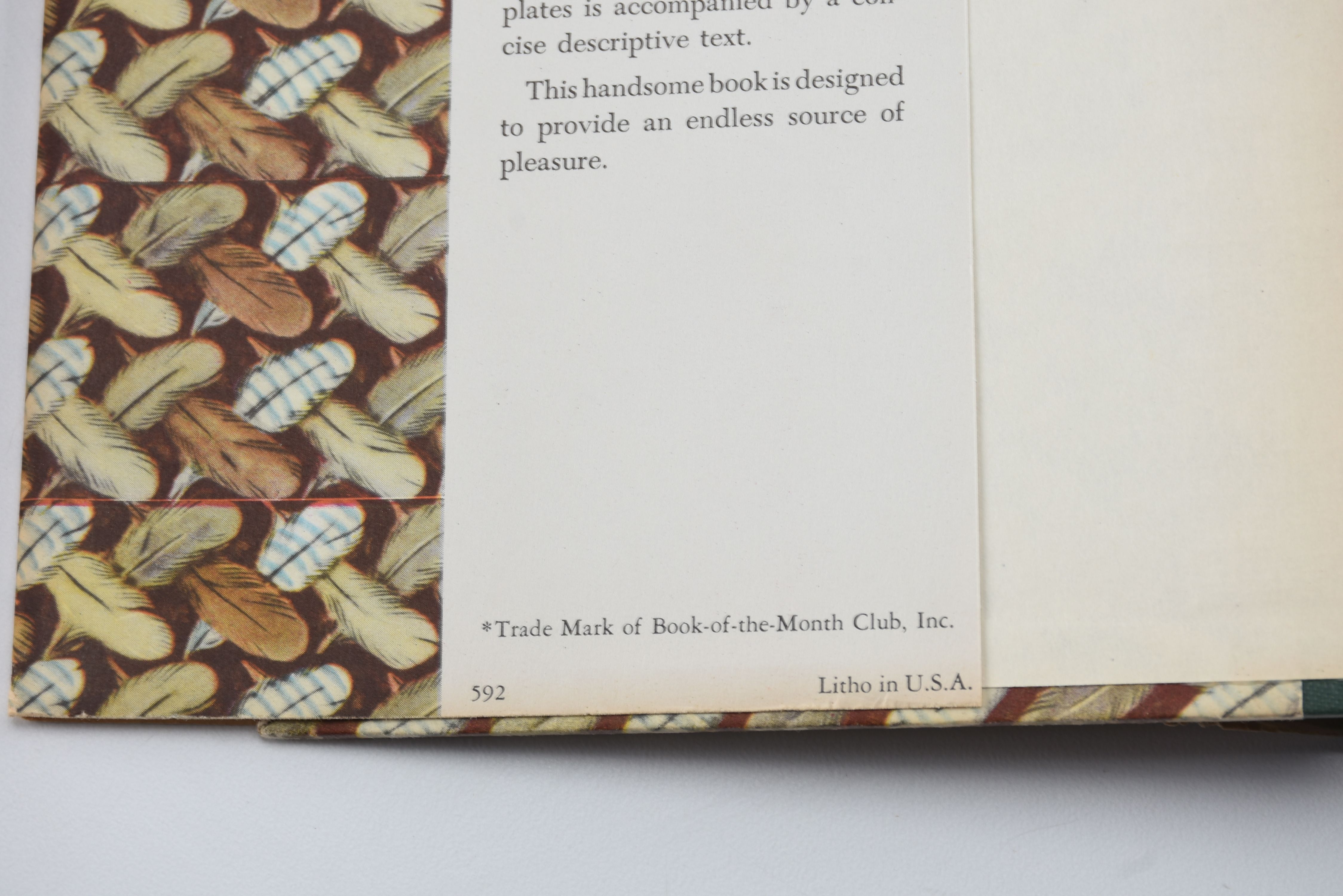 Collection of Audubon Books and Nature Programs