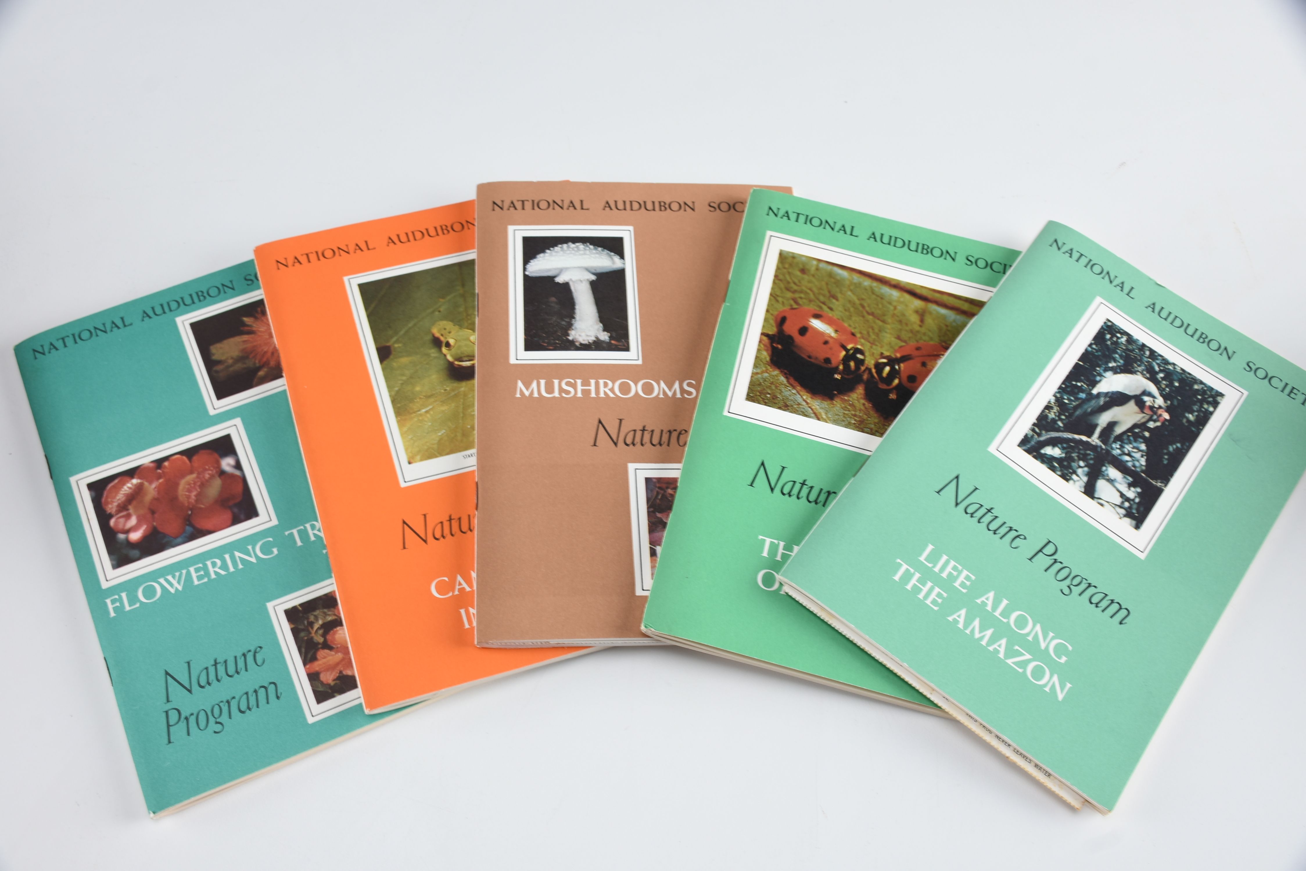 Collection of Audubon Books and Nature Programs