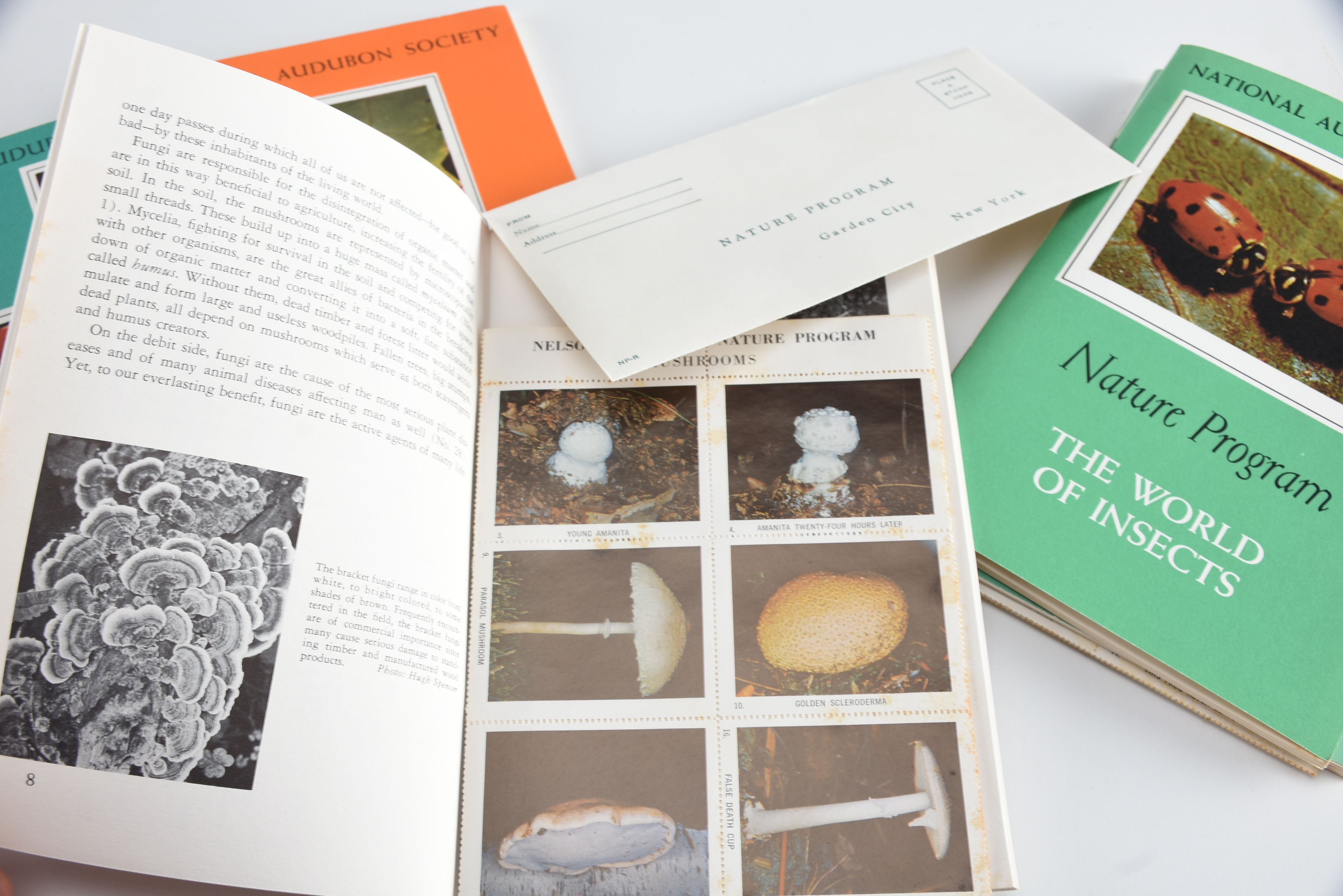 Collection of Audubon Books and Nature Programs