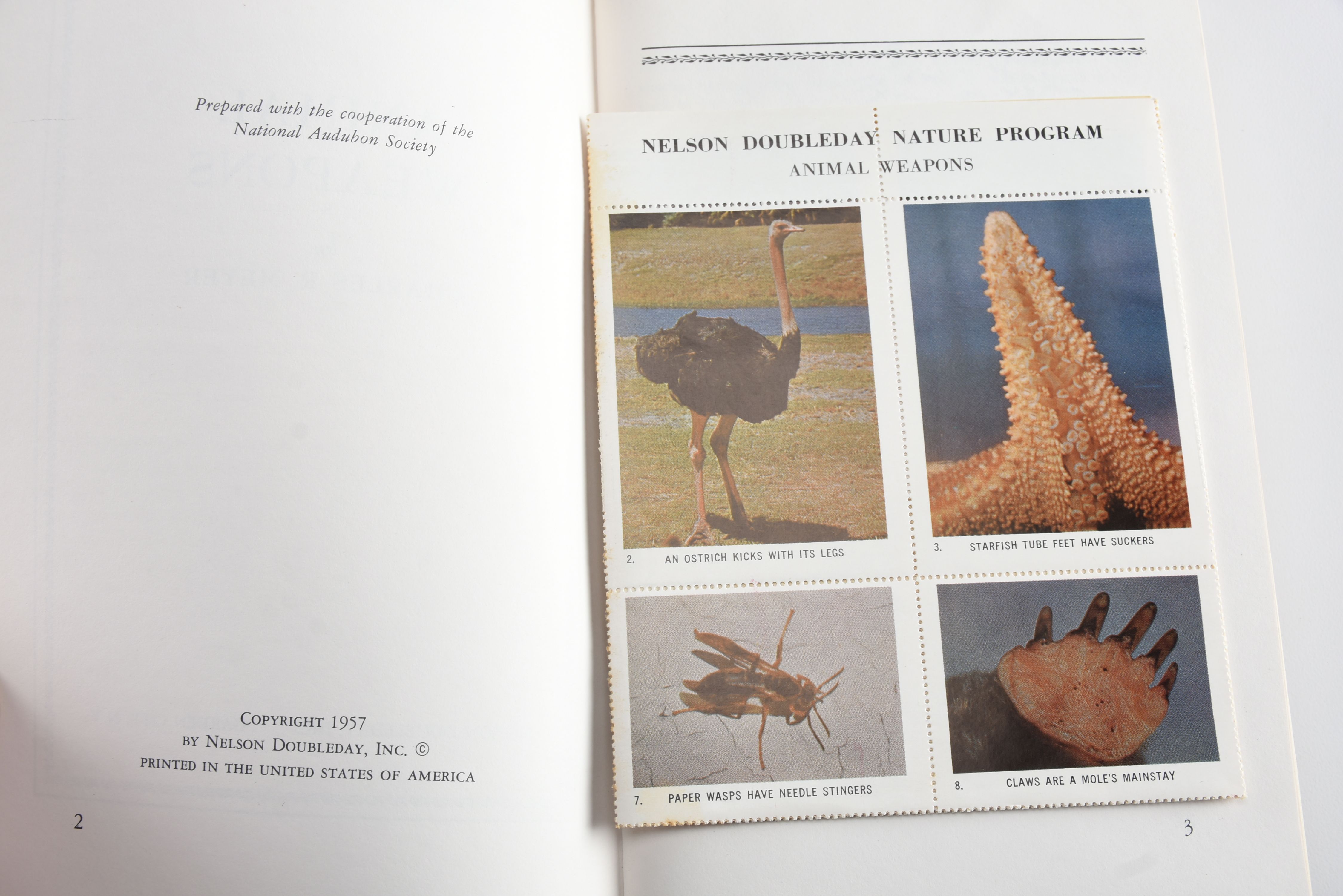 Collection of Audubon Books and Nature Programs