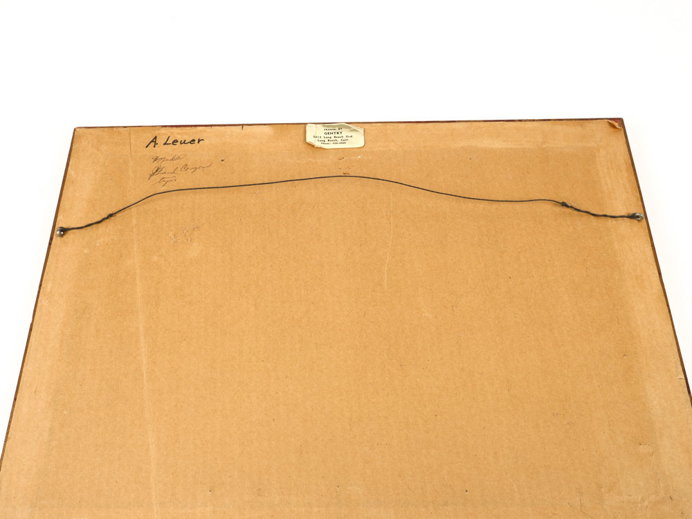 Framed Grand Canyon Photograph