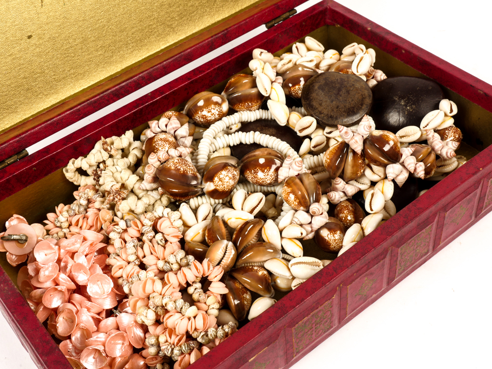 Collection of Seashell Jewelry in Jewelry Box