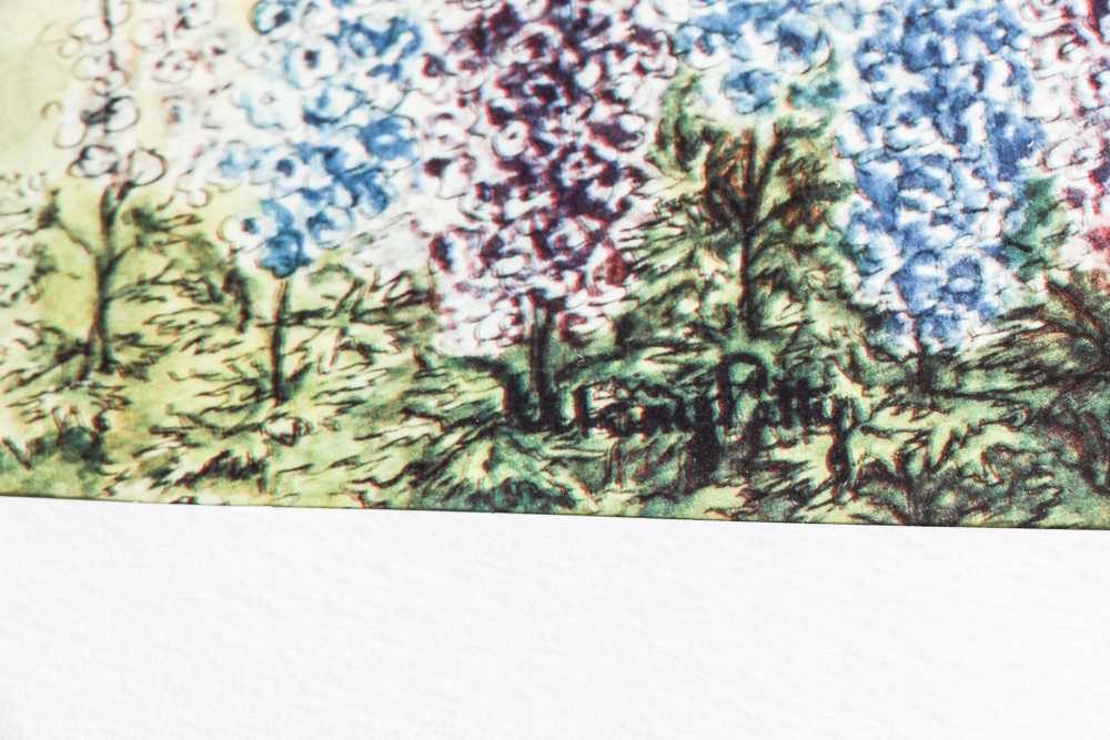 Vintage Offset Lithographic Prints