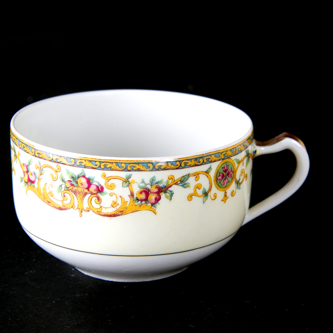 1920s Theodore Haviland Arcadia Tropical Bird Dinnerware Set