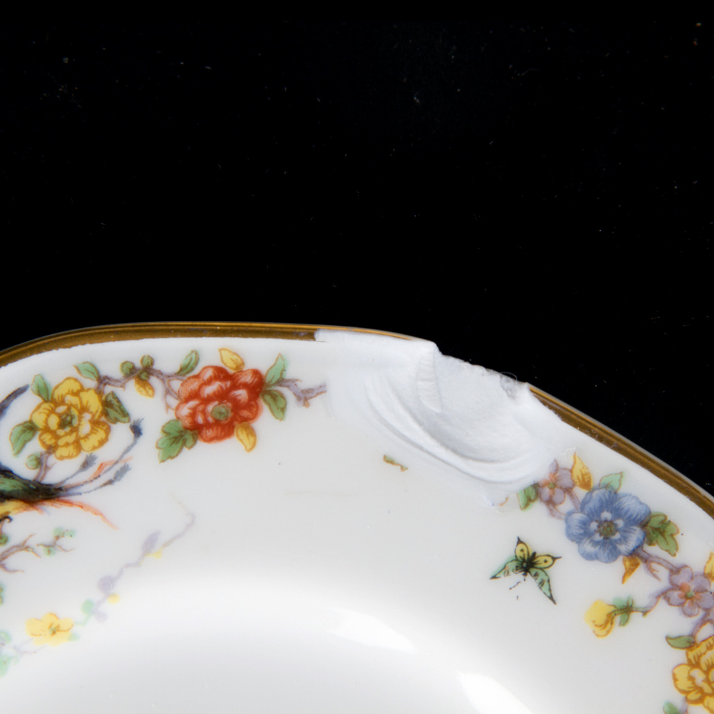 1920s Theodore Haviland Arcadia Tropical Bird Dinnerware Set