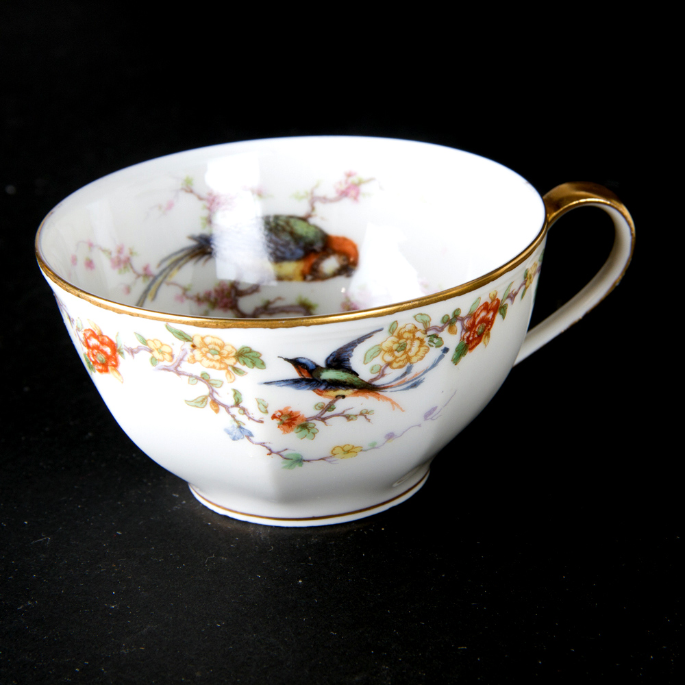 1920s Theodore Haviland Arcadia Tropical Bird Dinnerware Set