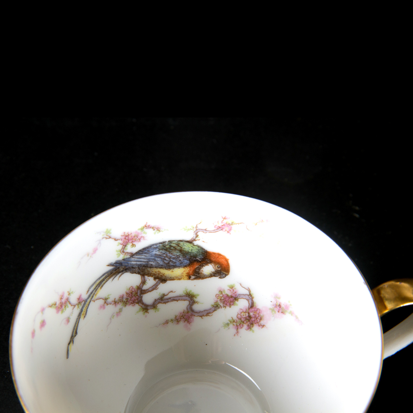 1920s Theodore Haviland Arcadia Tropical Bird Dinnerware Set