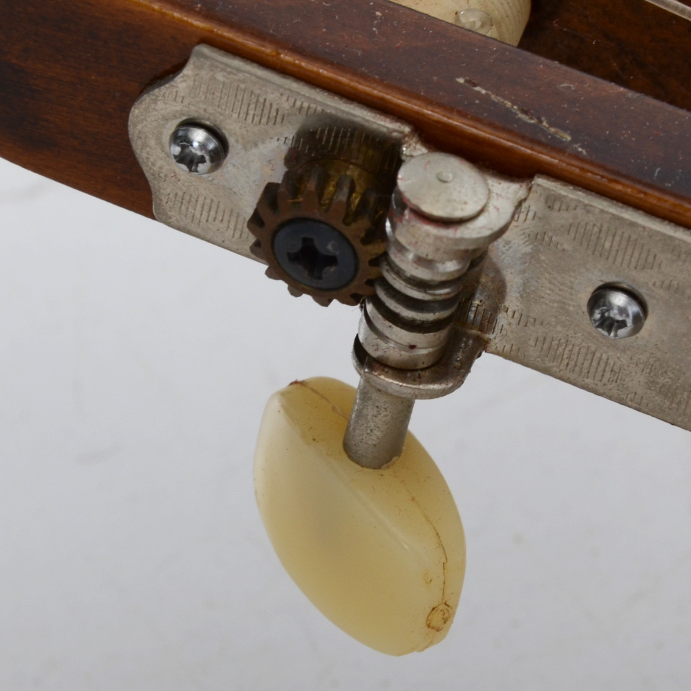 Suzuki Classical Guitar