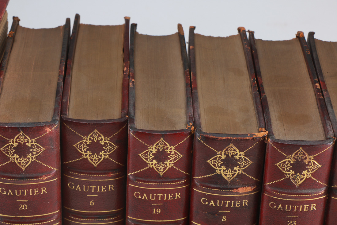 The Works of Theophile Gautier in Twenty Four Volumes