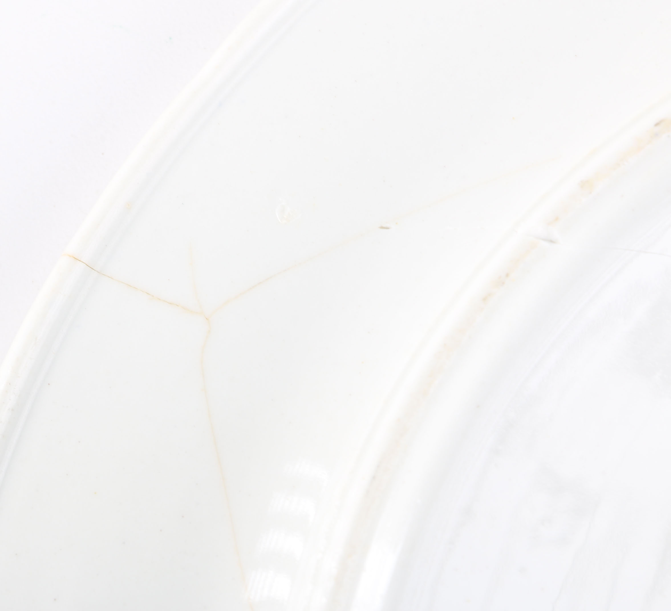 Collection of Asian Inspired Blue and White Plates