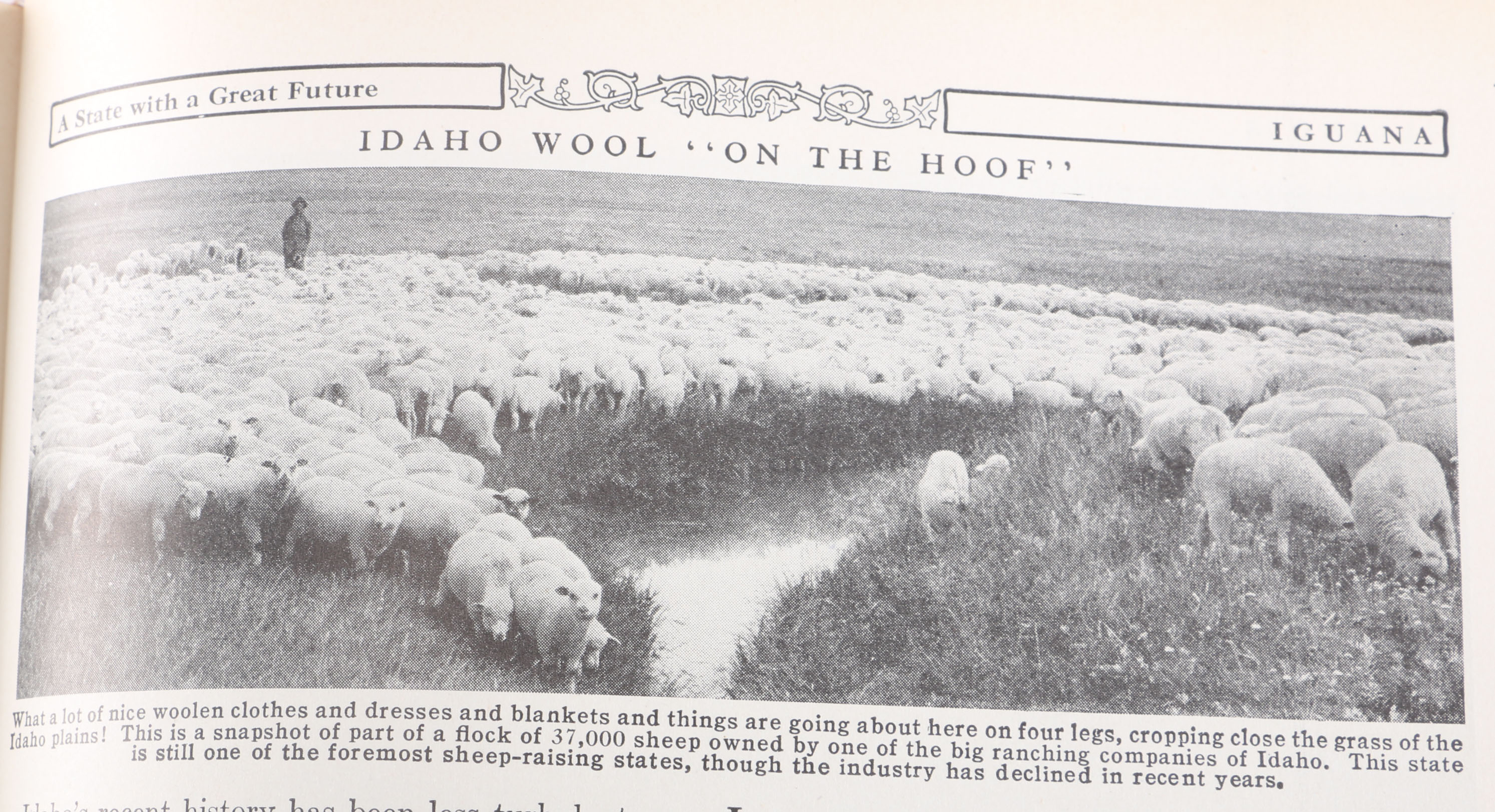 Vintage Collection of "Compton's Pictured Encyclopedia"