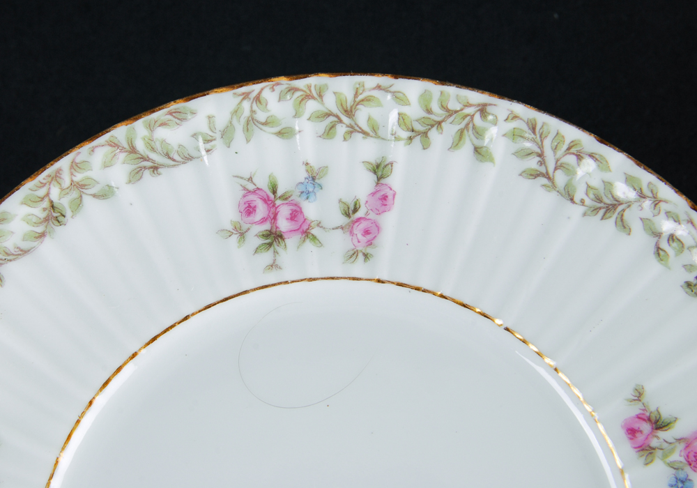 Antique Charles Field Haviland Limoges