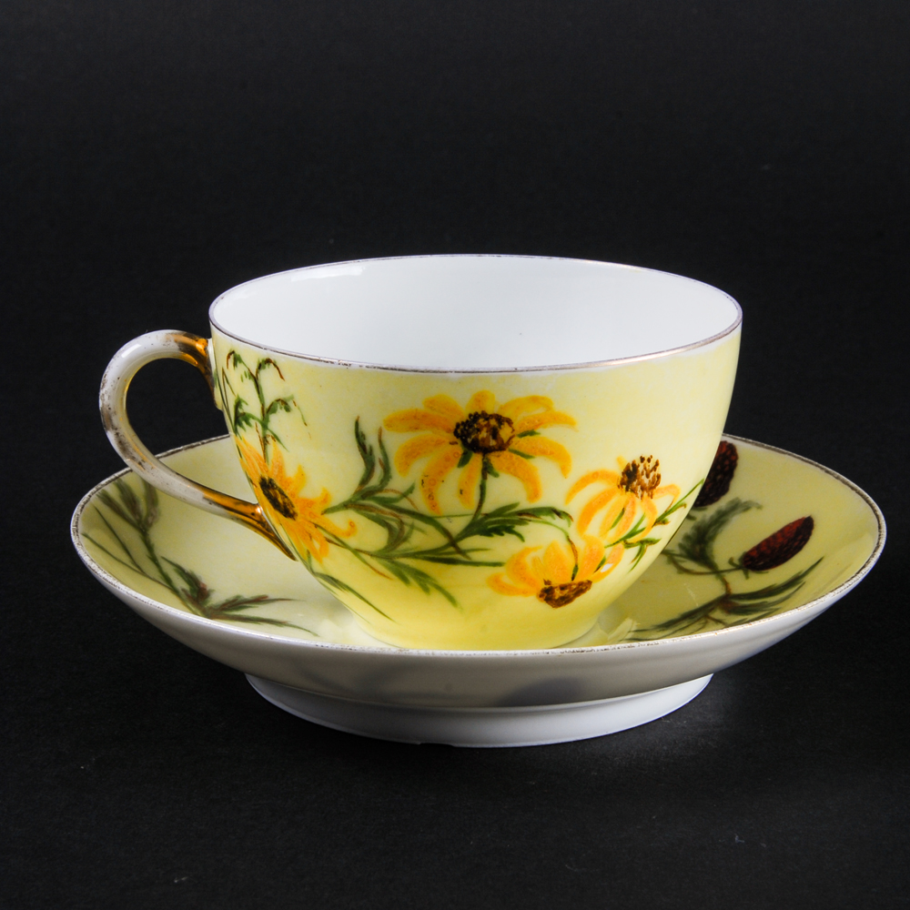Antique Haviland & Co. Cup and Saucer